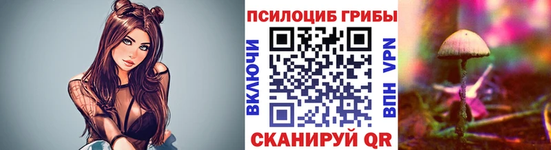 ОМГ ОМГ ссылки  Дмитриев  Псилоцибиновые грибы мухоморы 